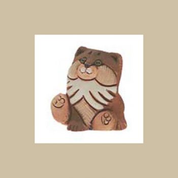 Somali Cat #84b kitten