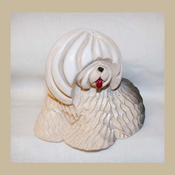 113A sheep dog female, rinconada