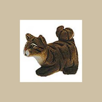 Tabby cat #171
