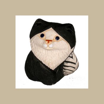 Black & White #315 kitten