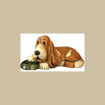 Basset Hound 504