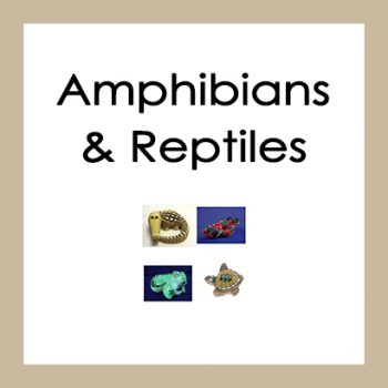 Amphibians & Reptiles