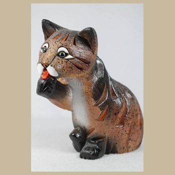 Argentina lost Cat #8210