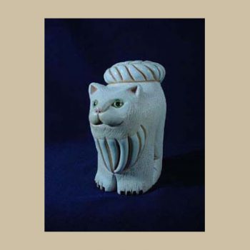 CT18 Rinconada Cat waking up