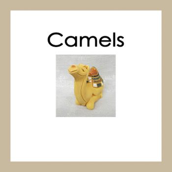 Camels