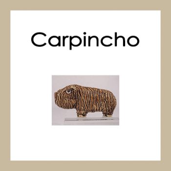 Carpincho