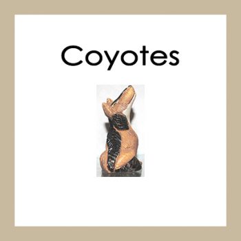 Coyotes