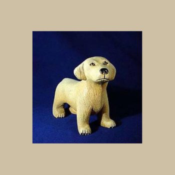 Golden retriever #DG01