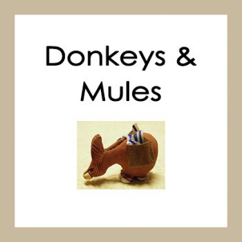 Donkeys & Mules