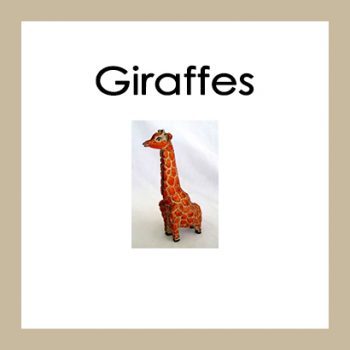 Giraffes