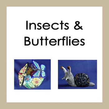 Insects & Butterflies