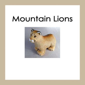 Mountain Lions