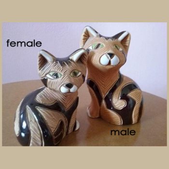ORIENTAL MALE #198 and FEMALE #199 CAT