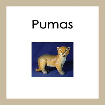 Pumas