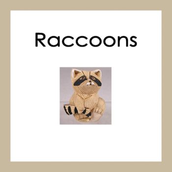 Raccoons