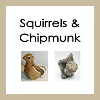 Squirrels & Chipmunk