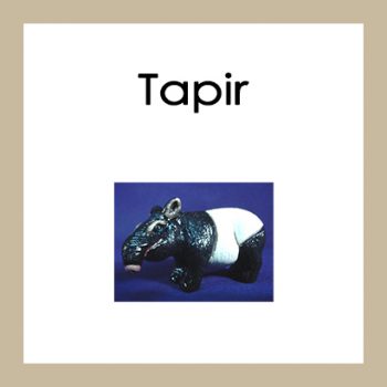 Tapir