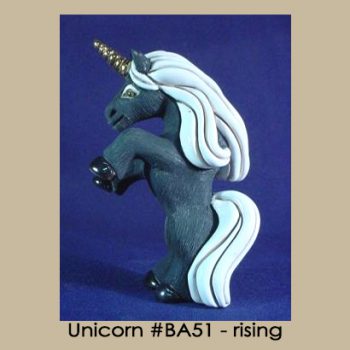 Unicorn #BA51 - rising