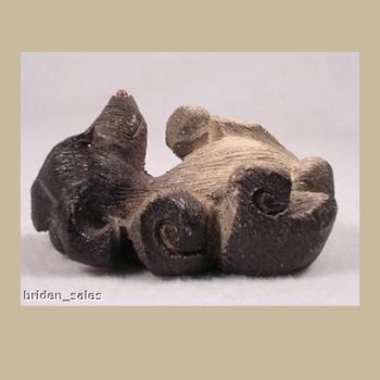 rinconada-fox-terrier-dog-117