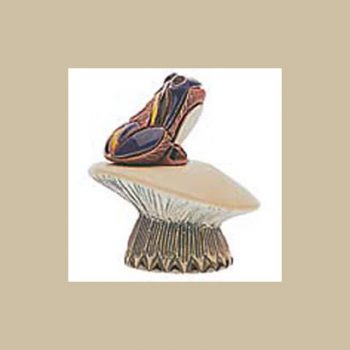 Frog over mushroom #077