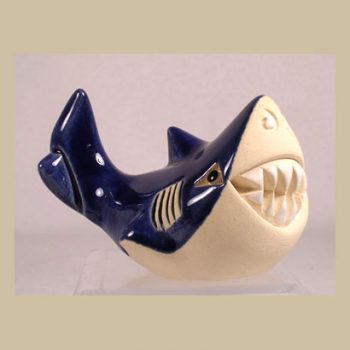 Adult Smiling Shark #62