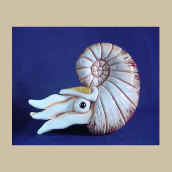 Seashell Nautilus #BA88AP