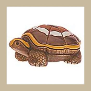 Turtle Galapagos #125