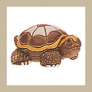 Turtle Galapagos baby #125A