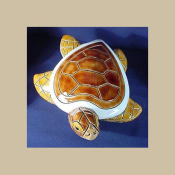 Sea Turtle variant #758 (V4)