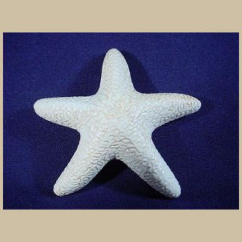 Seastar #BA11
