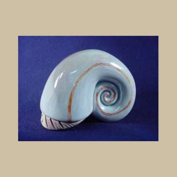 Seashell Nautilus #BA01-1