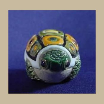 Little turtle (bug) #TR25