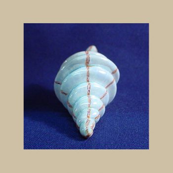 Seashell #BA02-2