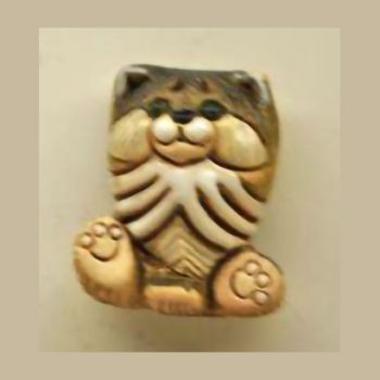 Somali Kitten A (cat) #M41A