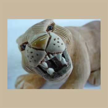 Mountain lion #BA76-1f