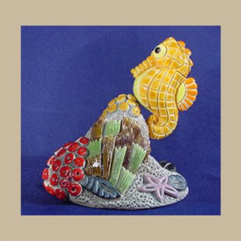 Seahorse over coral #BA79