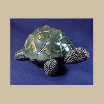 Big land turtle #TR10