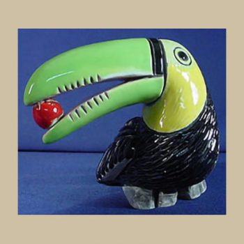 Toucan bird