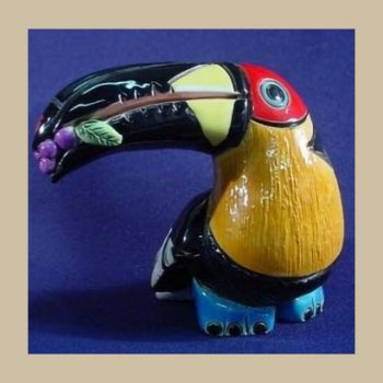 Toucan bird