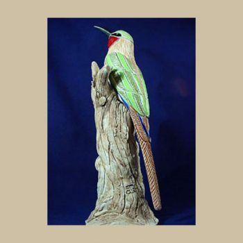 Bee eater bird