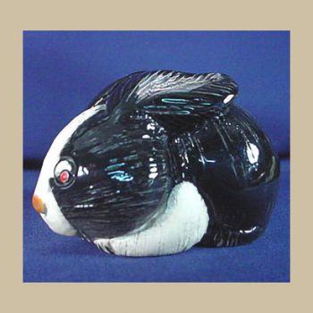 Rabbit #38 v1 color test