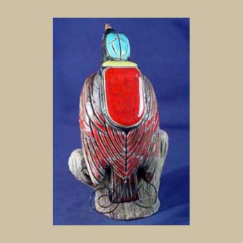 Wilson's Bird of Paradise