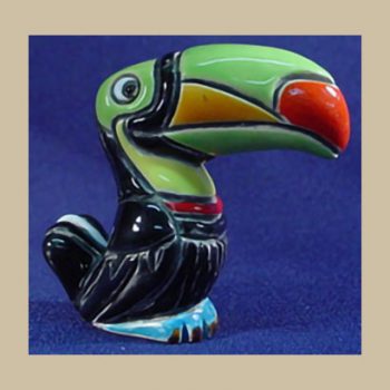 Toucan bird