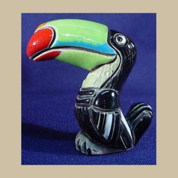 Toucan bird
