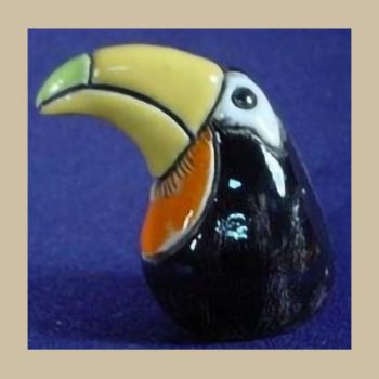 Toucan tiny bird