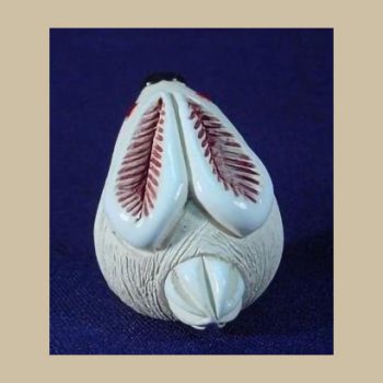 tiny Olga rabbit #OA26 V2