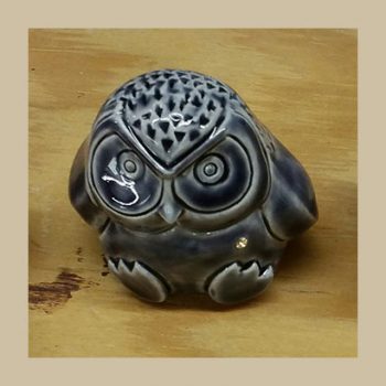 Sitting little patagon Owl #TX209