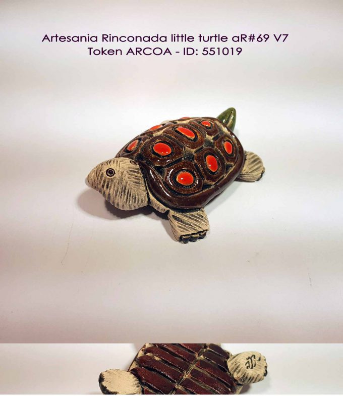 Baby Turtle aR#69 cv7